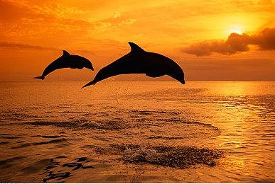 IGN给《星空》评7分的编辑被网暴 《星空》惨遭玩家4.5分差评