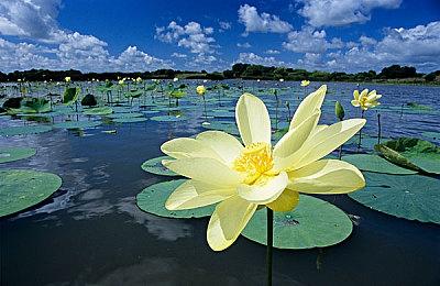 生存驾驶冒险新作《超自然车旅》上市日期公布
